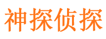 甘井子市场调查